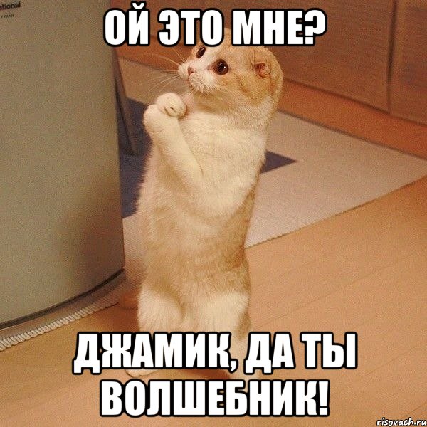 ой это мне? джамик, да ты волшебник!, Мем  котэ молится