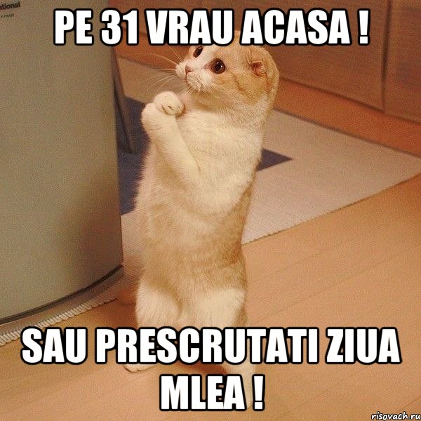 PE 31 VRAU ACASA ! SAU PRESCRUTATI ZIUA MLEA !, Мем  котэ молится