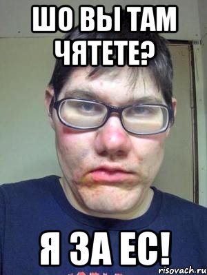 ШО ВЫ ТАМ ЧЯТЕТЕ? Я ЗА ЕС!, Мем красавчик