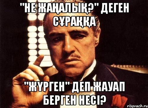 "Не жаңалық?" деген сұраққа "Жүрген" деп жауап берген несі?, Мем крестный отец