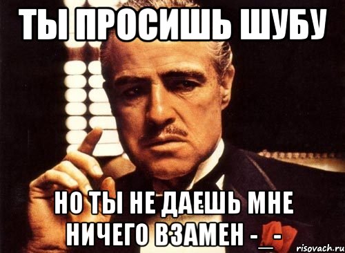 Ты просишь шубу но ты не даешь мне ничего взамен -_-, Мем крестный отец