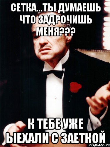 сетка...ты думаешь что задрочишь меня??? к тебе уже ыехали с заеткой, Мем ты делаешь это без уважения