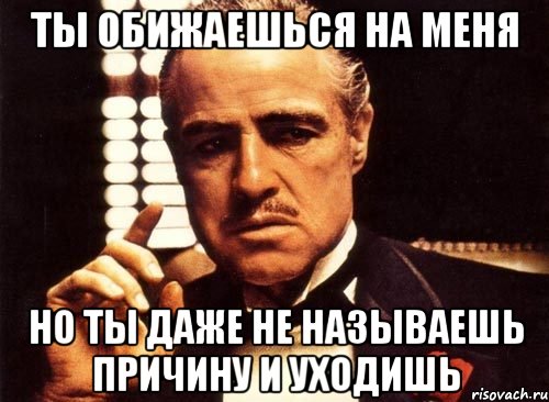 ты обижаешься на меня но ты даже не называешь причину и уходишь, Мем крестный отец