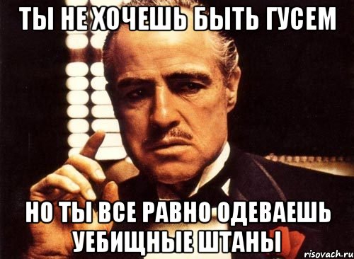 ты не хочешь быть гусем но ты все равно одеваешь уебищные штаны, Мем крестный отец