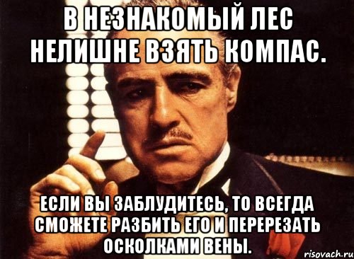 В незнакомый лес нелишне взять компас. Если вы заблудитесь, то всегда сможете разбить его и перерезать осколками вены., Мем крестный отец