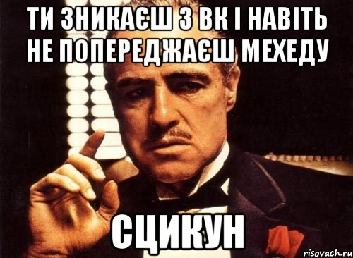 ти зникаєш з вк і навіть не попереджаєш мехеду сцикун, Мем крестный отец