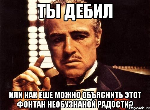 ты дебил или как еше можно объяснить этот фонтан необузнаной радости?, Мем крестный отец