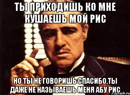 ты приходишь ко мне кушаешь мой рис но ты не говоришь спасибо,ты даже не называешь меня абу рис, Мем крестный отец