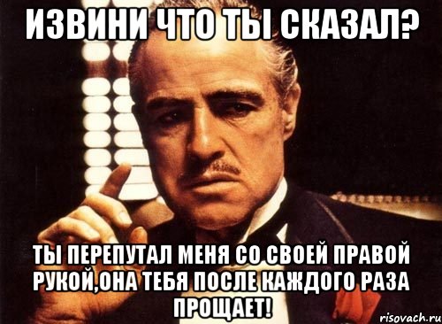 извини что ты сказал? ты перепутал меня со своей правой рукой,она тебя после каждого раза прощает!, Мем крестный отец