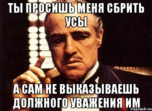 Ты просишь меня сбрить усы А сам не выказываешь должного уважения им, Мем крестный отец