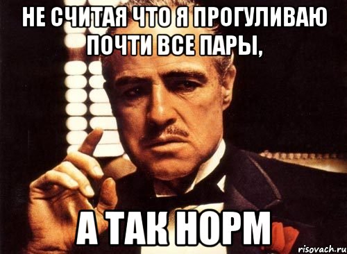 Не считая что я прогуливаю почти все пары, а так норм, Мем крестный отец