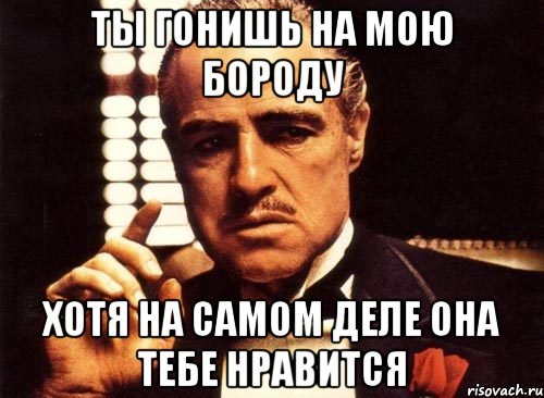 ты гонишь на мою бороду хотя на самом деле она тебе нравится, Мем крестный отец