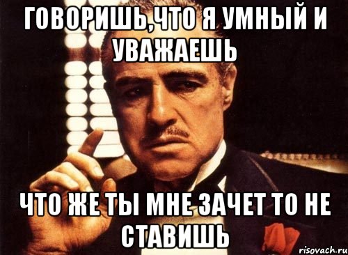 говоришь,что я умный и уважаешь что же ты мне зачет то не ставишь, Мем крестный отец