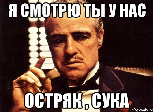 я смотрю ты у нас остряк , сука, Мем крестный отец