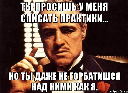 Ты просишь у меня списать практики... Но ты даже не горбатишся над ними как я., Мем крестный отец