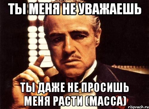 ТЫ МЕНЯ НЕ УВАЖАЕШЬ ТЫ ДАЖЕ НЕ ПРОСИШЬ МЕНЯ РАСТИ (МАССА), Мем крестный отец