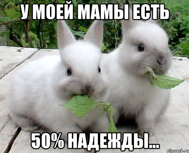 у моей мамы есть 50% надежды...