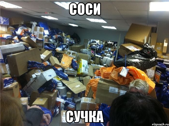 Соси сучка, Мем куда