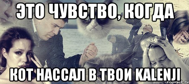 это чувство, когда кот нассал в твои kalenji, Мем Грусть вселенская