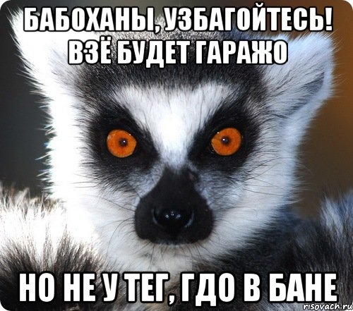 Бабоханы, узбагойтесь! Взё будет гаражо Но не у тег, гдо в бане, Мем лемур