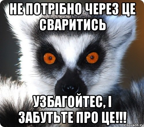 Не потрібно через це сваритись Узбагойтес, і забутьте про це!!!, Мем лемур