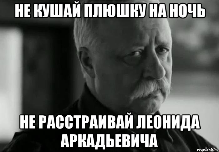 НЕ КУШАЙ ПЛЮШКУ НА НОЧЬ НЕ РАССТРАИВАЙ ЛЕОНИДА АРКАДЬЕВИЧА, Мем Не расстраивай Леонида Аркадьевича