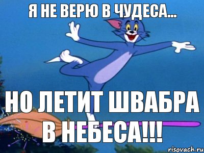 Я НЕ ВЕРЮ В ЧУДЕСА... НО ЛЕТИТ ШВАБРА В НЕБЕСА!!!