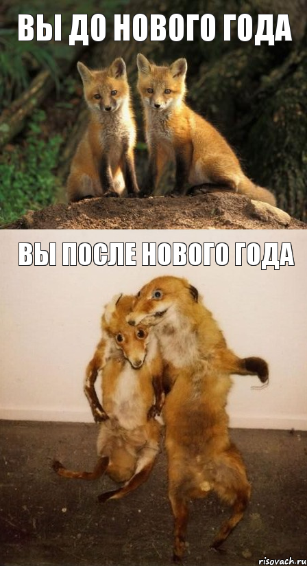 ВЫ ДО НОВОГО ГОДА ВЫ ПОСЛЕ НОВОГО ГОДА