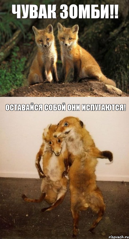 Чувак зомби!! Оставайся собой они испугаются!