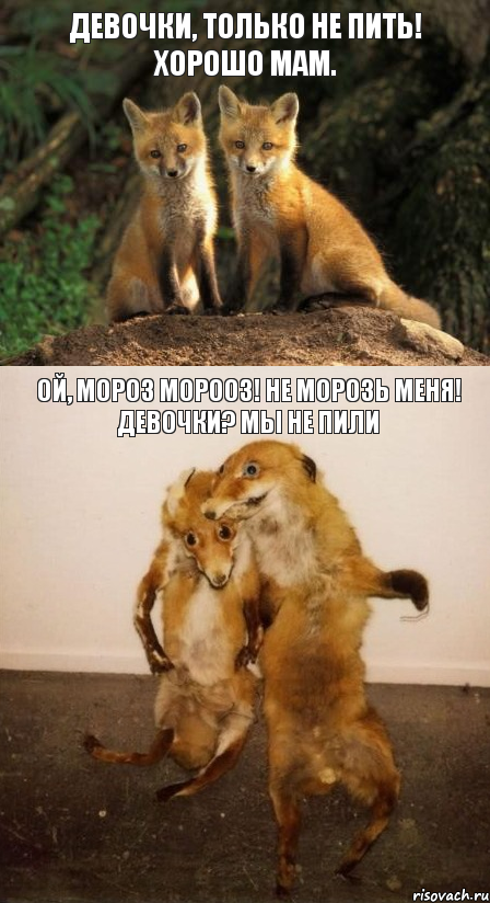Девочки, только не пить! Хорошо мам. Ой, мороз морооз! Не морозь меня! Девочки? Мы не пили