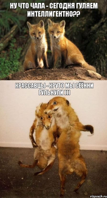 Ну что Чапа - сегодня гуляем интеллигентно?? Крассавцы - круто мы сёённи гульнули )))