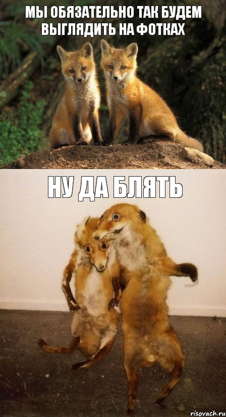 Мы обязательно так будем выглядить на фотках Ну да блять