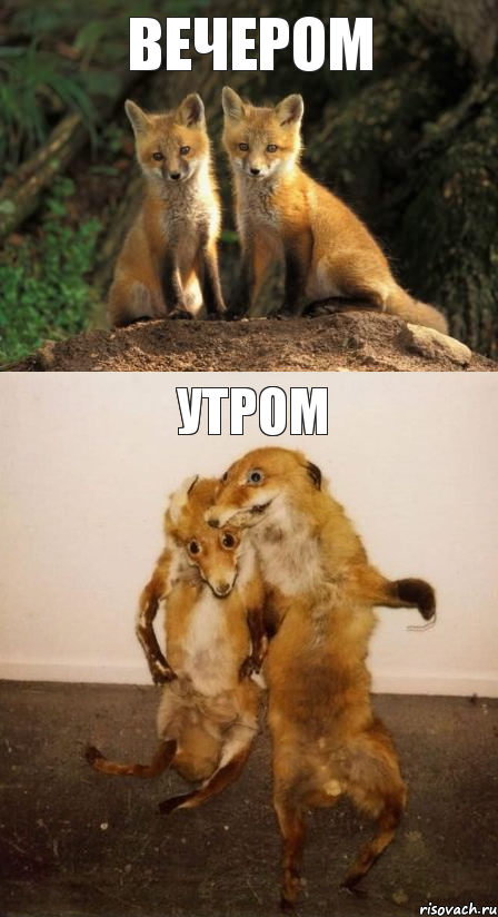 ВЕЧЕРОМ УТРОМ