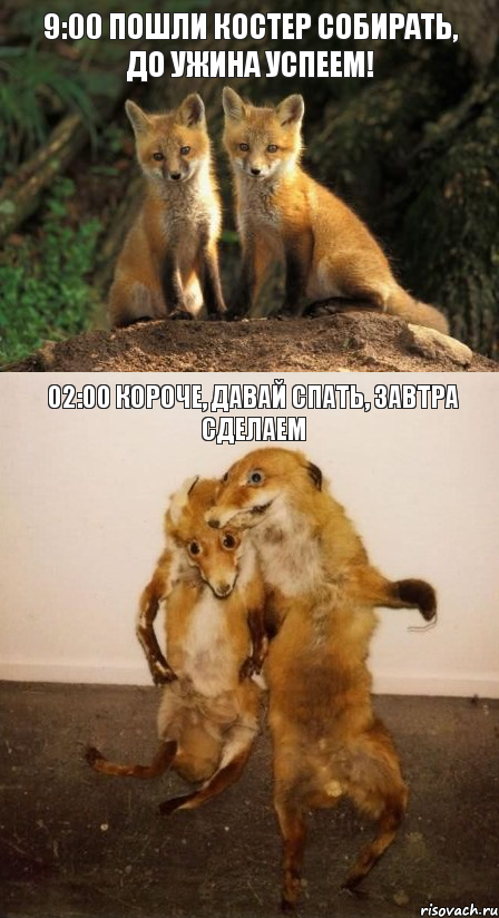 9:00 Пошли костер собирать, до ужина успеем! 02:00 Короче, давай спать, завтра сделаем