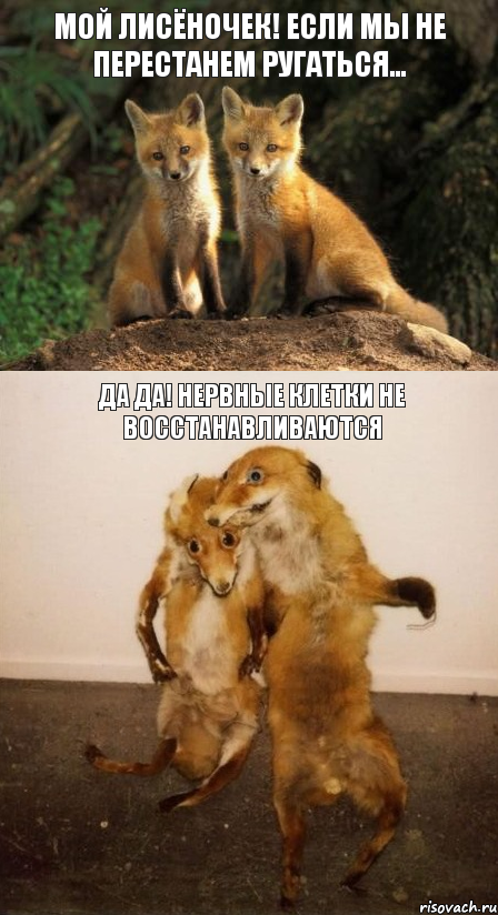 Мой лисёночек! Если мы не перестанем ругаться... Да да! Нервные клетки не восстанавливаются