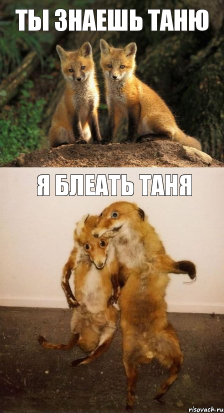 ты знаешь таню я блеать таня