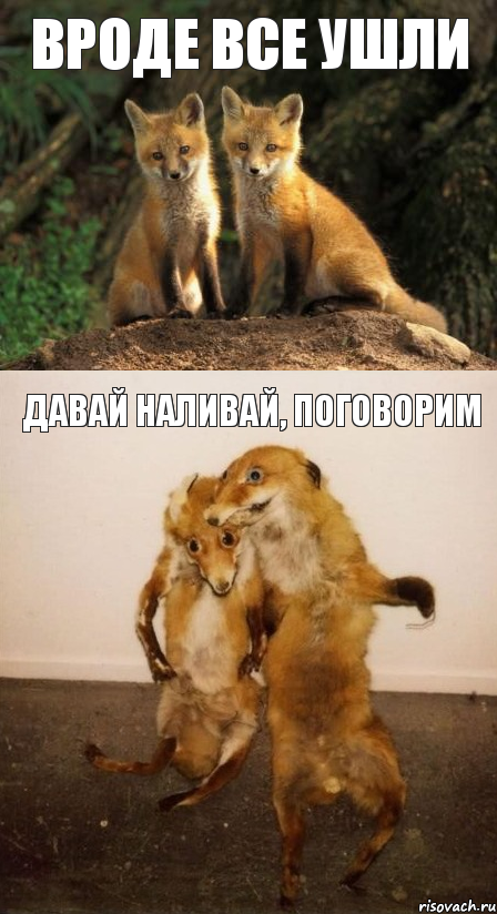 Вроде все ушли Давай наливай, поговорим