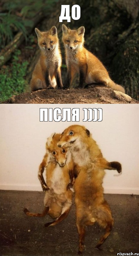 До після ))))