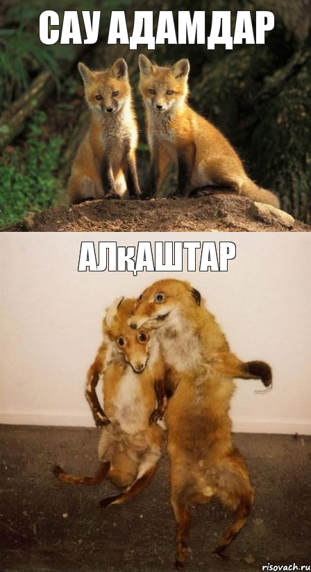 Сау адамдар Алқаштар