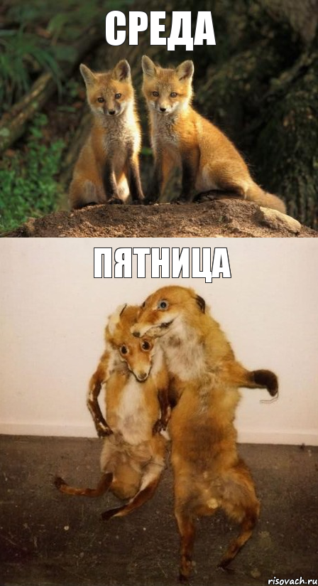 Среда Пятница