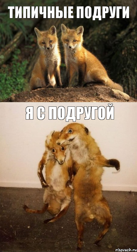 типичные подруги я с подругой, Комикс Лисицы