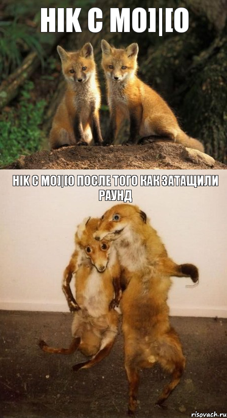 HIK c Mo]|[o HIK c Mo]|[o после того как затащили раунд, Комикс Лисицы