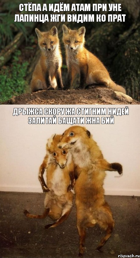Стёпа а идём атам при уне лапинца жги видим ко прат дрыжса скору жа стигним нидей залитай бащати жна бий, Комикс Лисицы