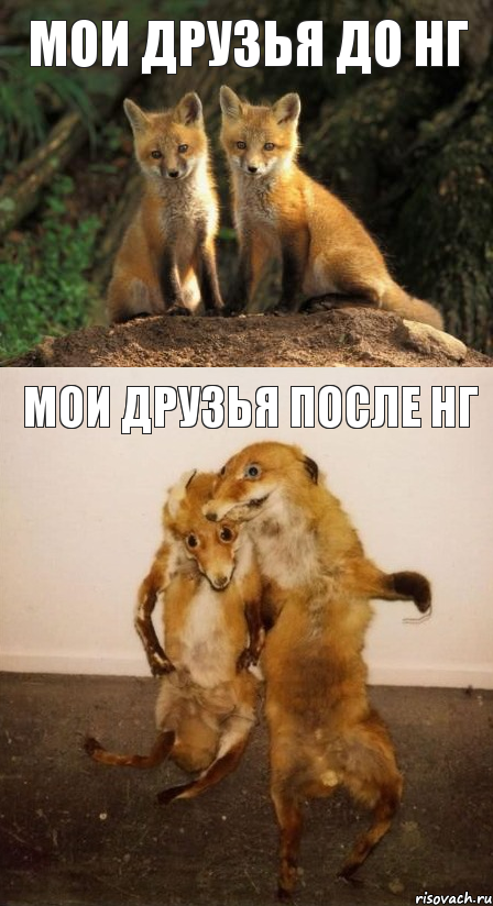 Мои друзья до НГ Мои друзья после НГ