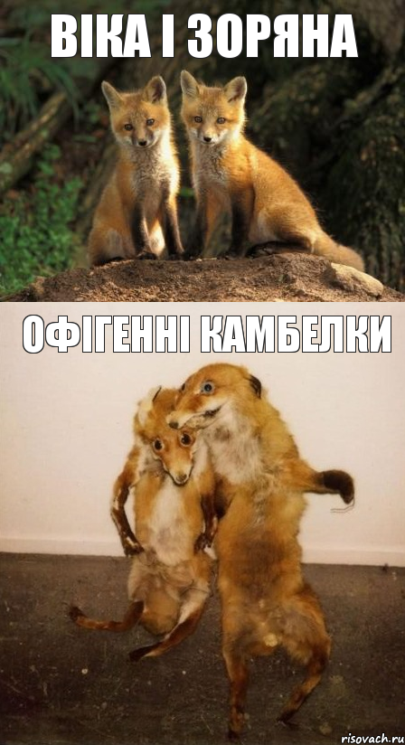 віка і зоряна офігенні камбелки