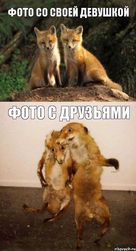 фото со своей девушкой фото с друзьями, Комикс Лисицы