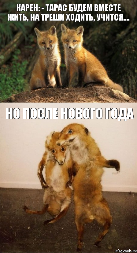 Карен: - Тарас будем вместе жить, на треши ходить, учится.... но после нового года, Комикс Лисицы
