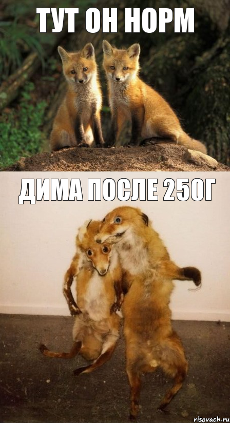 Тут он норм Дима после 250г
