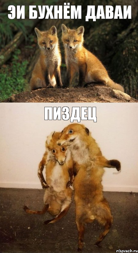 эи бухнём даваи пиздец, Комикс Лисицы