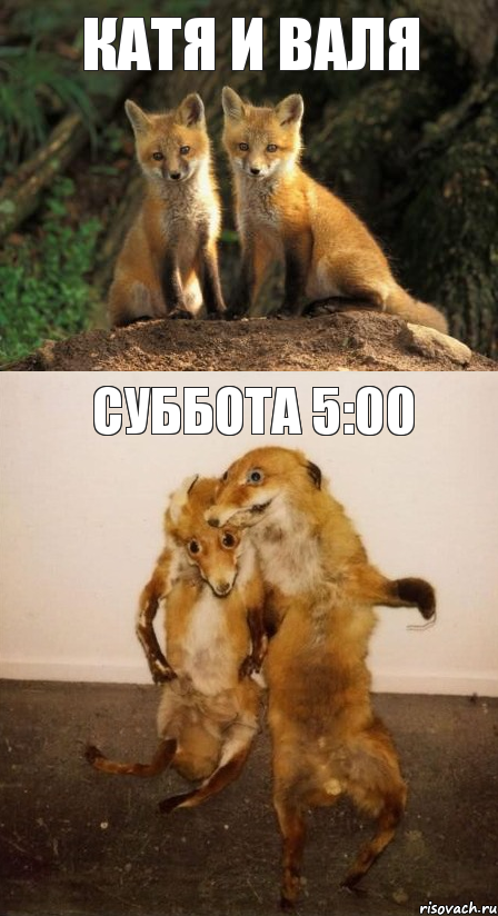 Катя и Валя Суббота 5:00, Комикс Лисицы